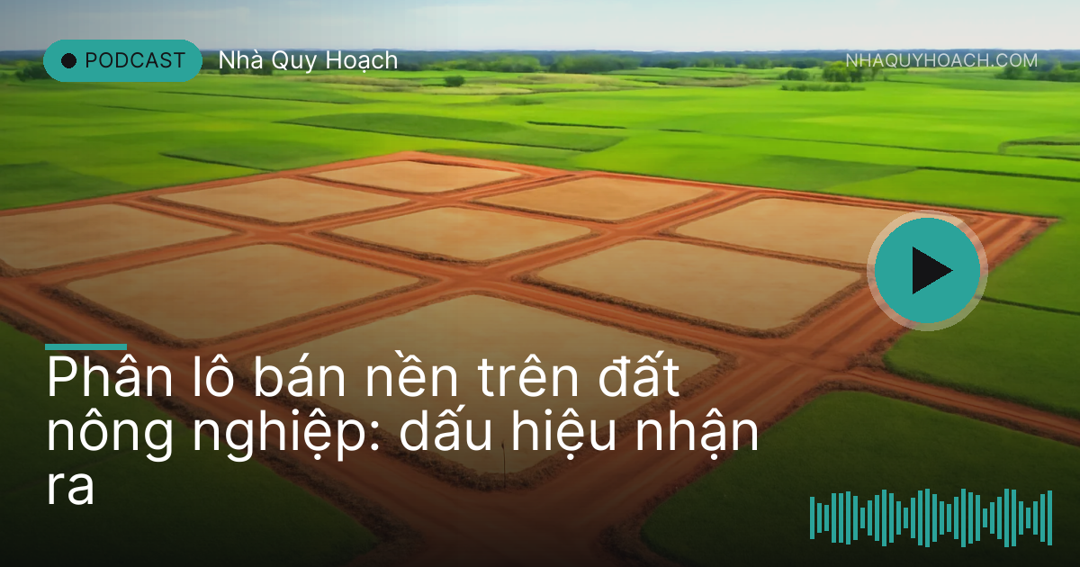 Những ô đất san phẳng có đường đất đỏ mới ủi và cọc bê tông đầu sơn đỏ nhìn từ trên cao